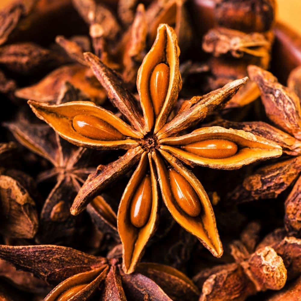 Alt Hoa hồi sấy khô 100g