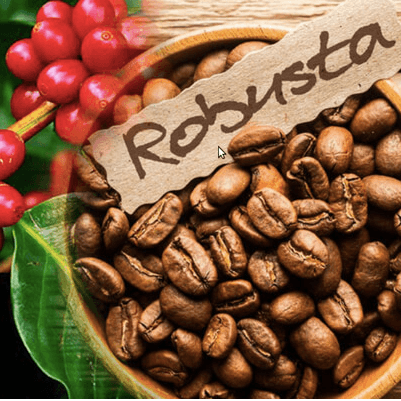 Alt Cà phê Robusta Daklak rang mộc 1kg